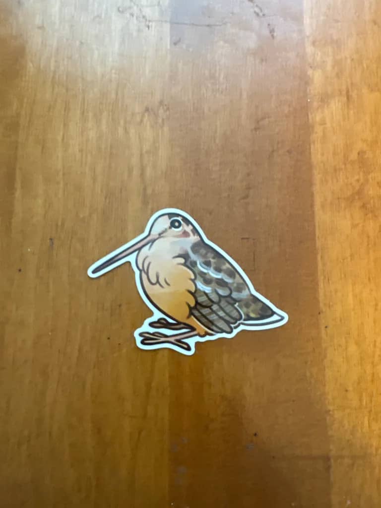 BotM Sticker Club - 9/23 (American Woodcock) - Full