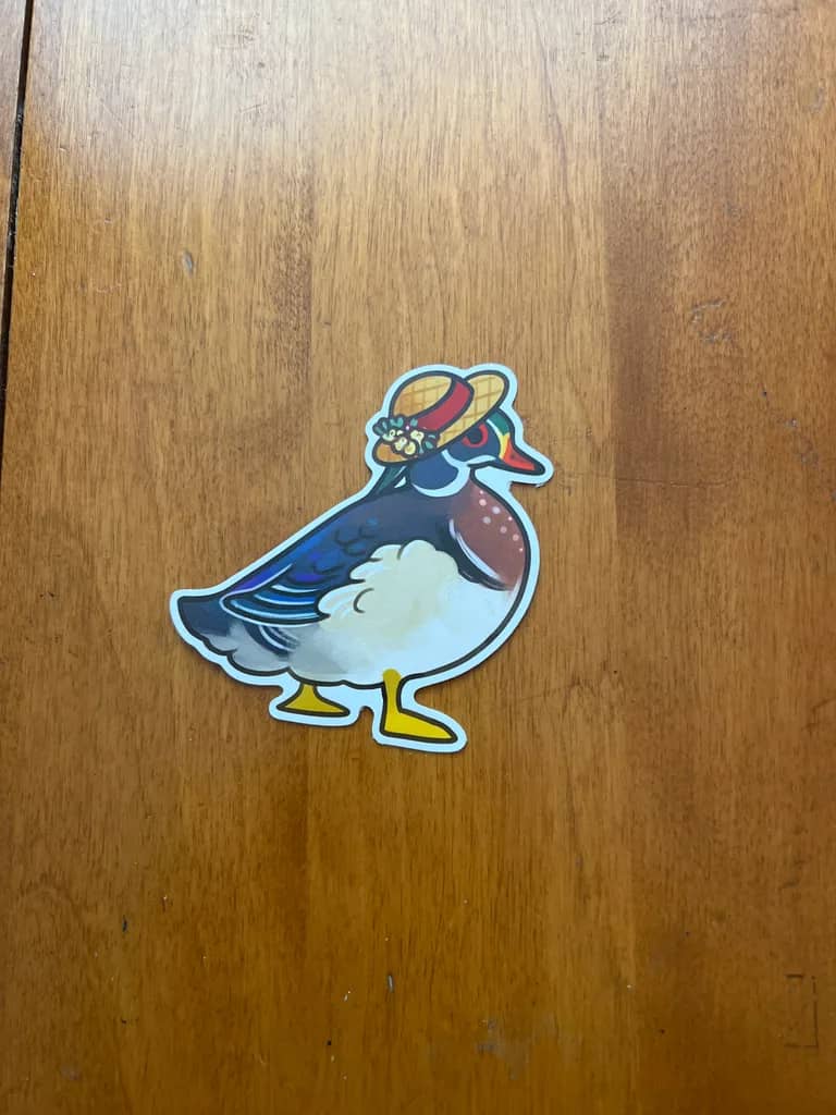 Birds in Bonnets - Wood Duck - Male