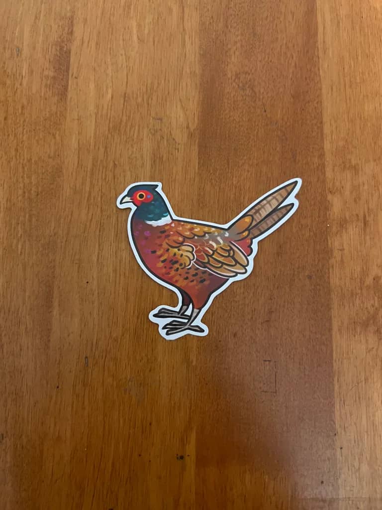 BotM Sticker Club - 11/22 (Ring-necked Pheasant) - Full