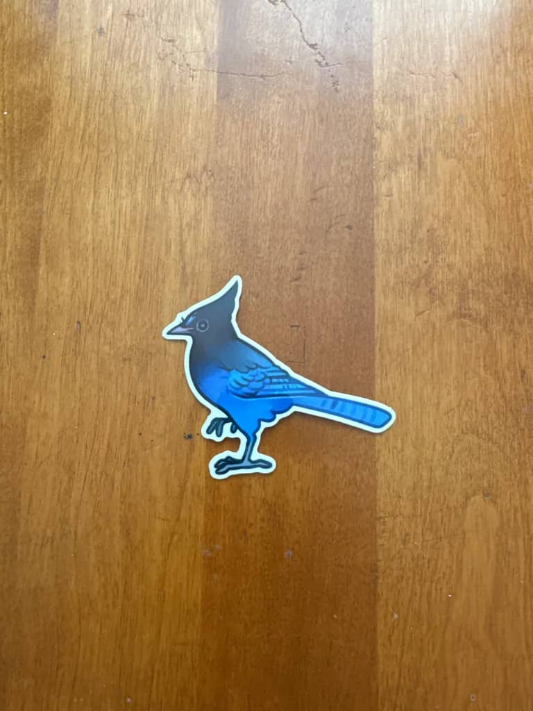 BotM Sticker Club - 11/23 (Steller’s Jay) - Full