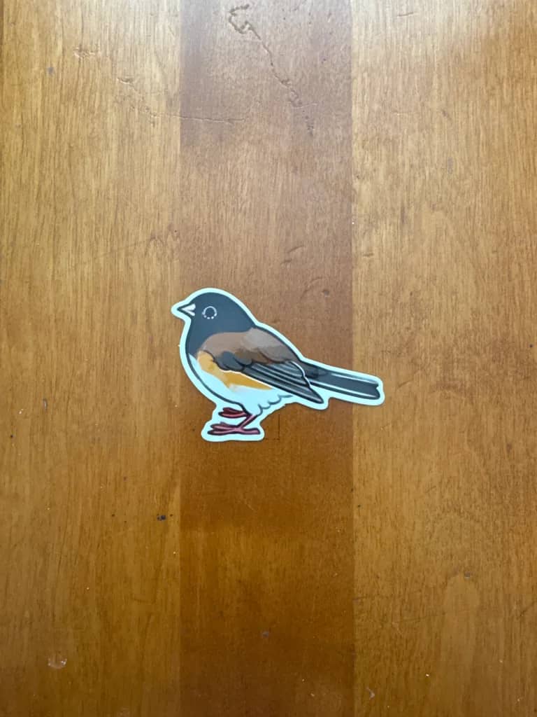 BotM Sticker Club - 2/24 (Oregon Dark-eyed Junco) - Full