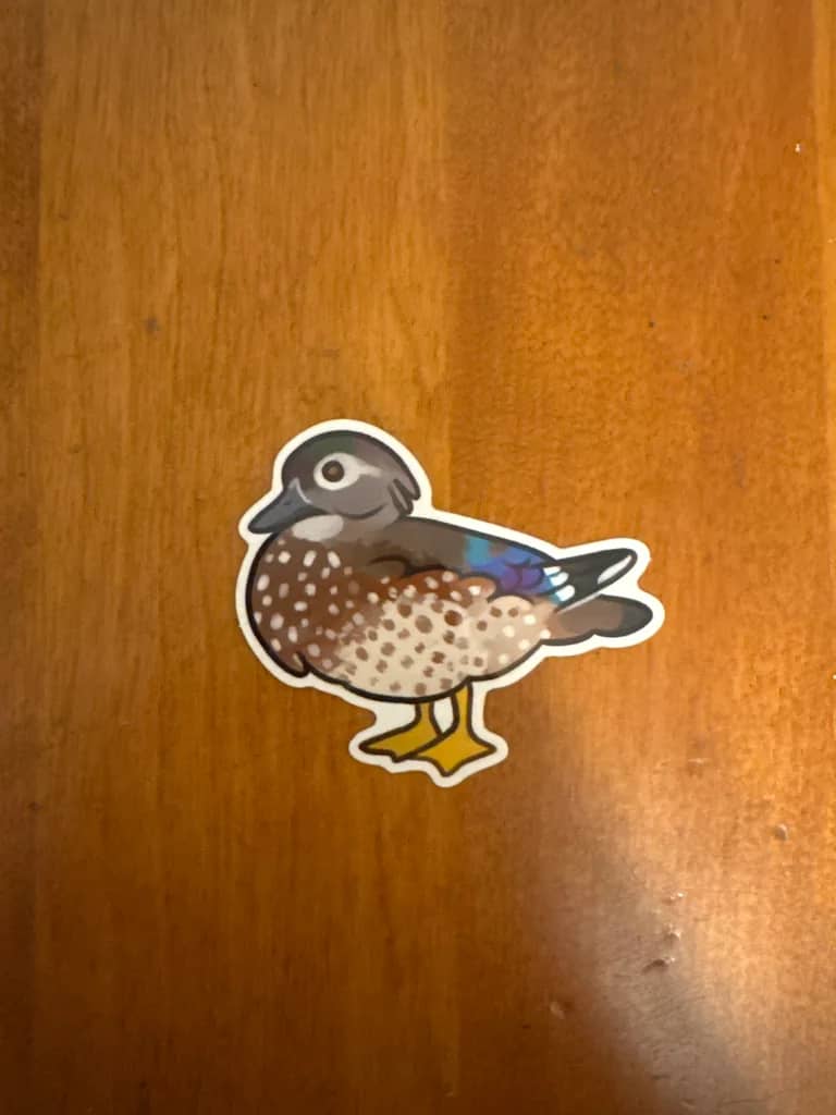 BotM Sticker Club - 5/24 (American Wood Duck) - Full #1