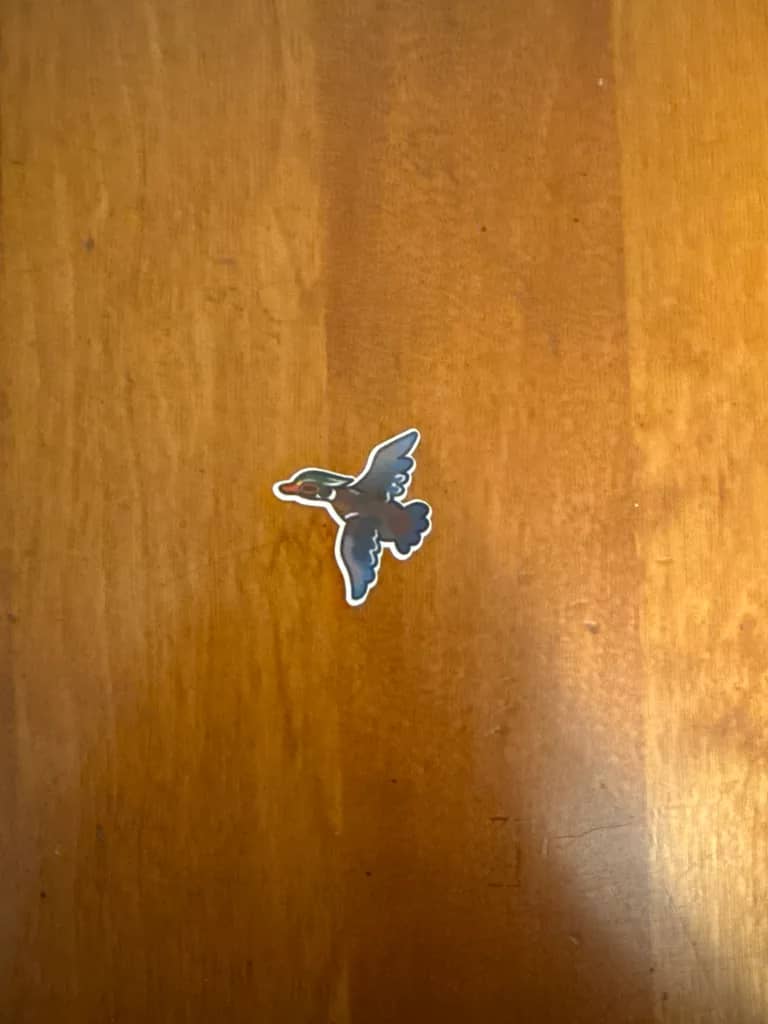 BotM Sticker Club - 5/24 (American Wood Duck) - Chibi