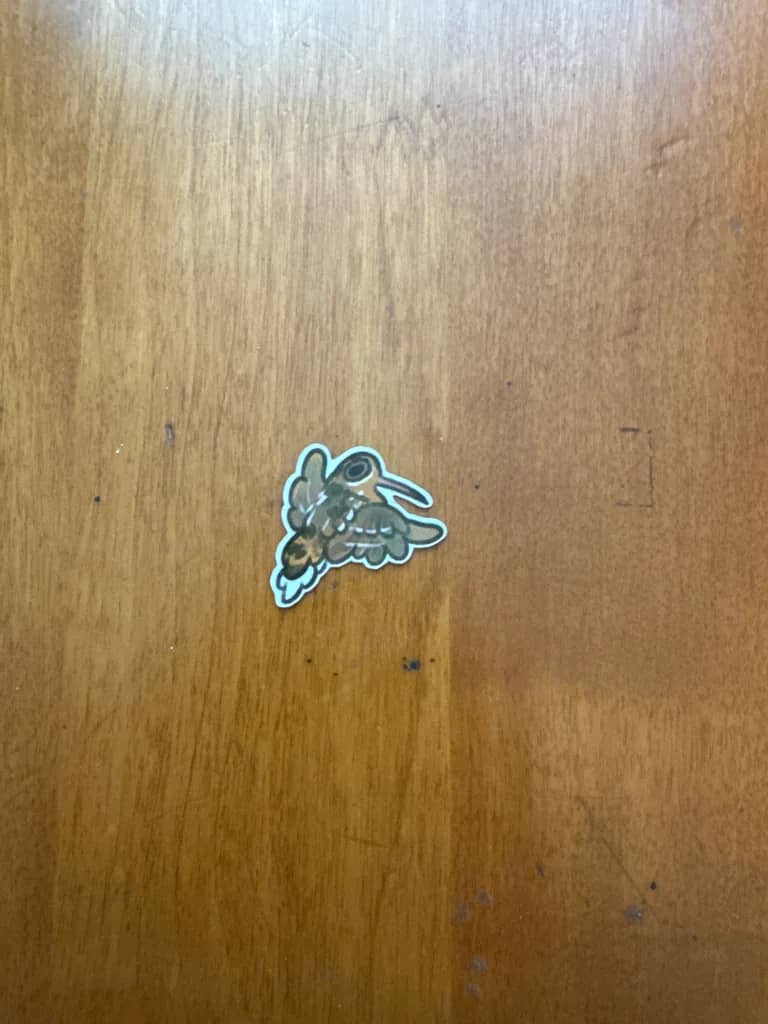 BotM Sticker Club - 9/23 (American Woodcock) - Chibi