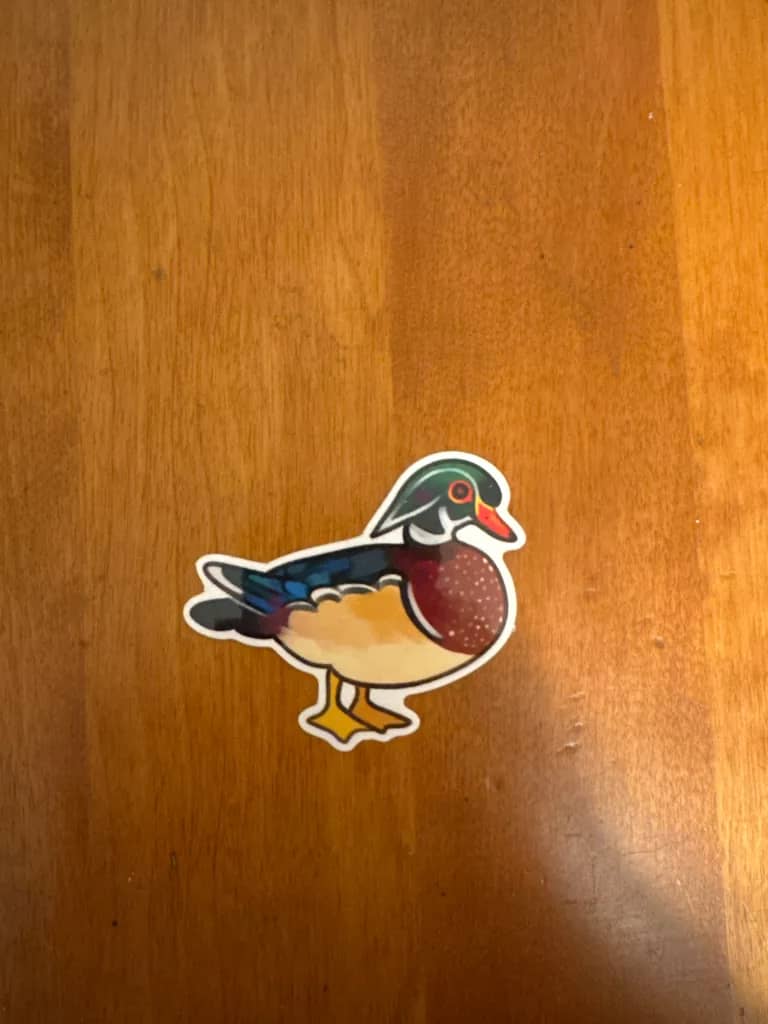 BotM Sticker Club - 5/24 (American Wood Duck) - Full #2