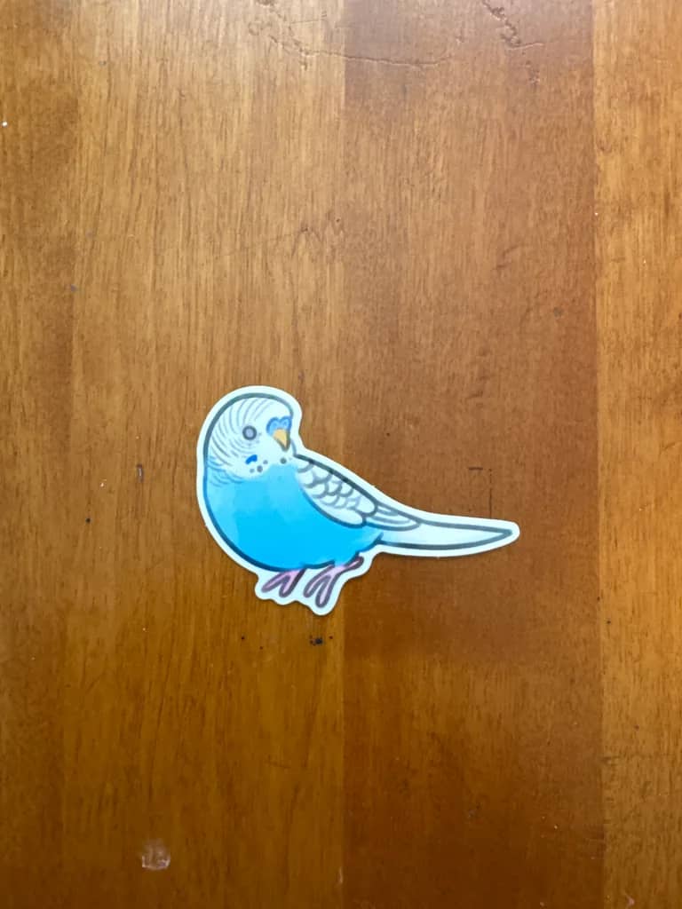 BotM Sticker Club - 5/24 (Budgerigar) - Full