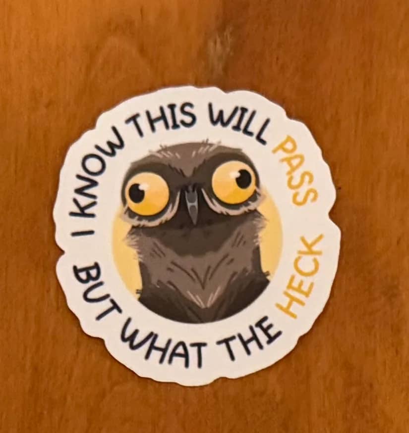 I Know This Will Pass