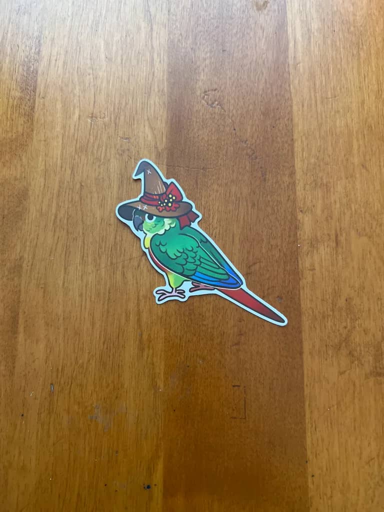 Birds in Bonnets - Green Cheek Conure