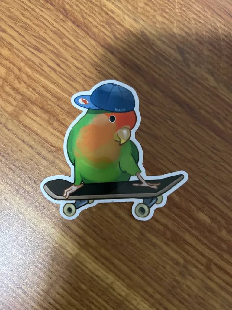 Skater Lovebird