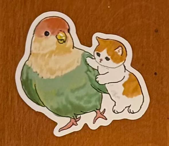 Lovebird & Cat