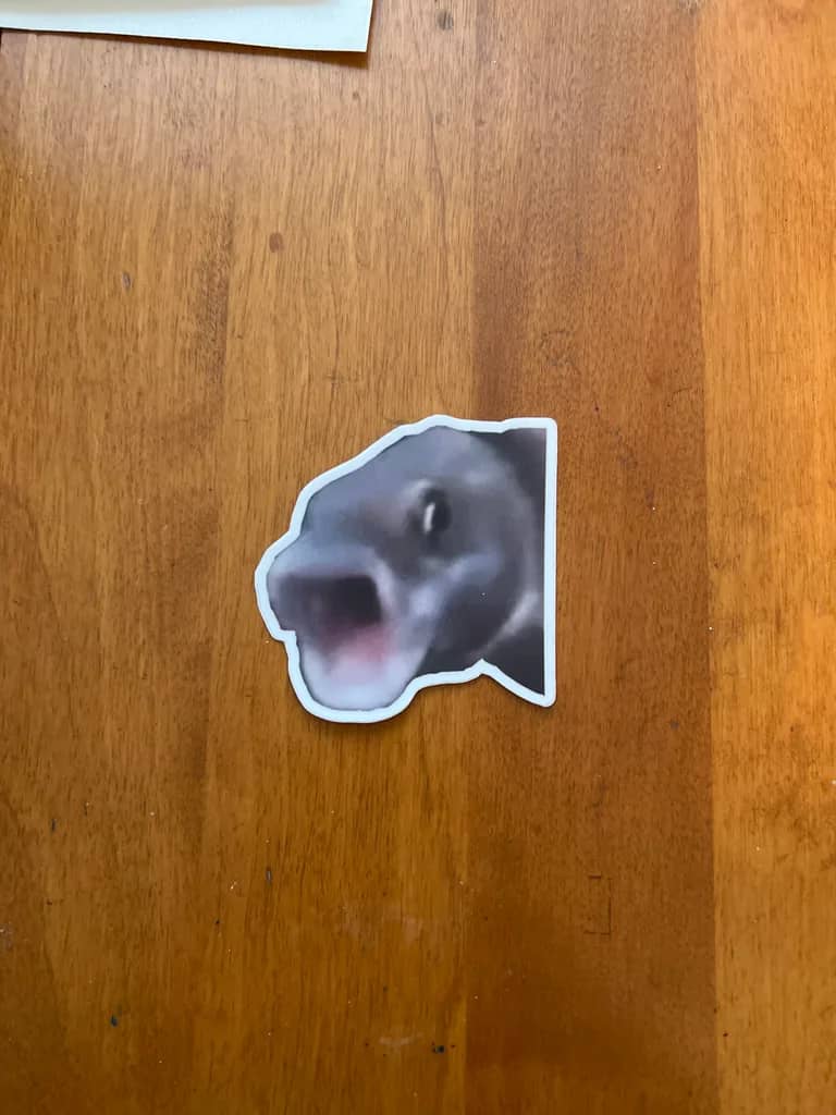 Pog Fish