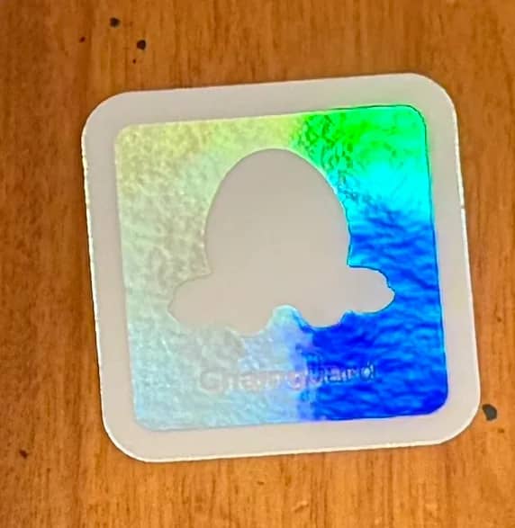 Chainguard - Holo Logo