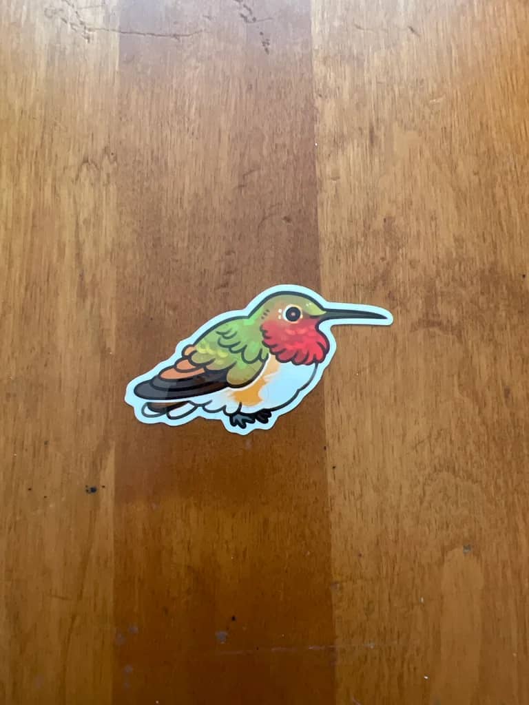 BotM Sticker Club - 5/23 (Allen’s Hummingbird) - Full