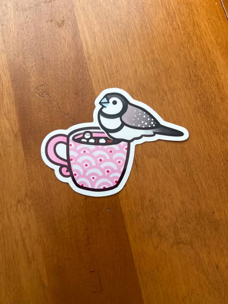 Owl Finch & Hot Chocolate