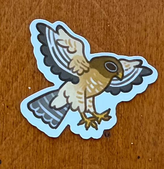 BotM Sticker Club - 8/24 (Red-shouldered Hawk) - Chibi