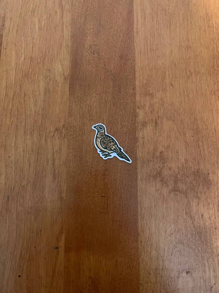 BotM Sticker Club - 11/22 (Ring-necked Pheasant) - Chibi