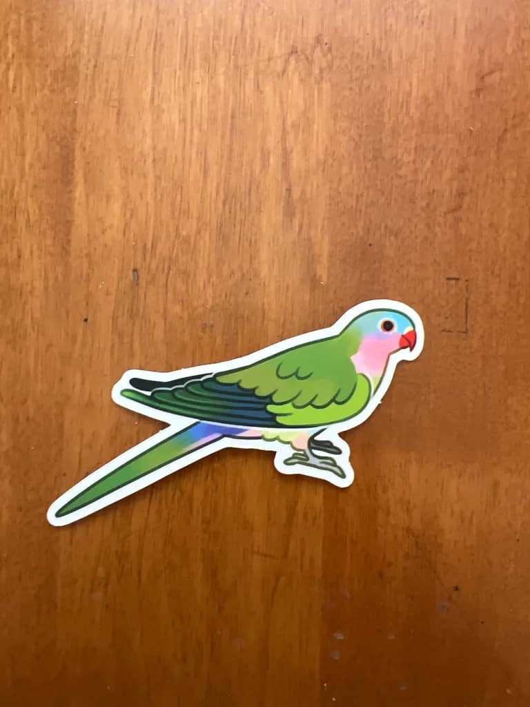 BotM Sticker Club - 3/23 (Princess Parrot) - Full