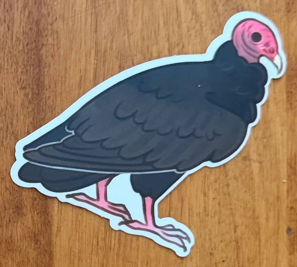 BotM Sticker Club - 9/24 (Turkey Vulture) - Full